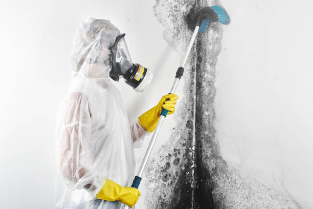 Best HVAC Mold Inspection and Cleaning  in Bothell East, WA