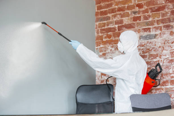 Best Commercial Mold Inspection  in Bothell East, WA