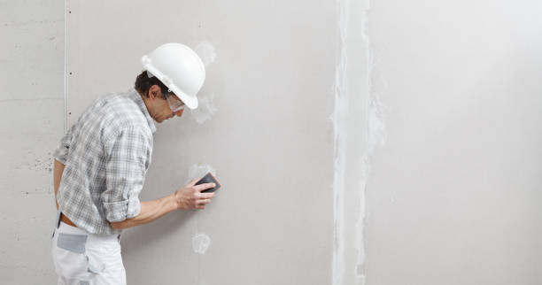Best Real Estate Mold Inspection  in Bothell East, WA