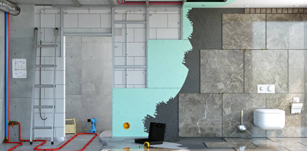 Best Basement Mold Removal  in Bothell East, WA