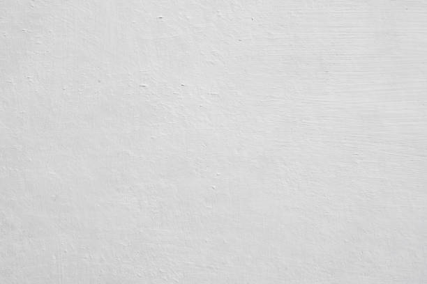 Best Black Mold Removal  in Bothell East, WA