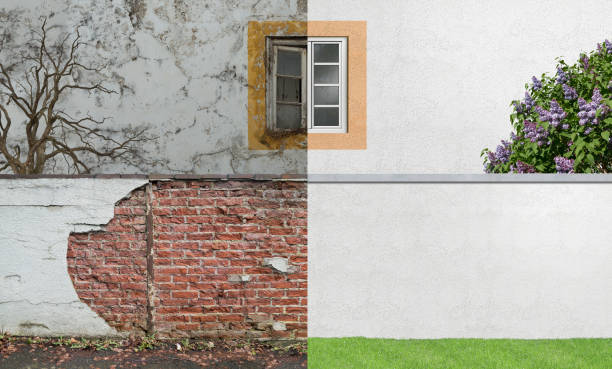 Best Forensic Mold Investigation  in Bothell East, WA